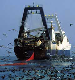 barco industriaa